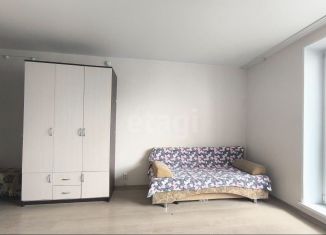 Квартира в аренду студия, 24 м2, Челябинск, улица Петра Сумина, 2