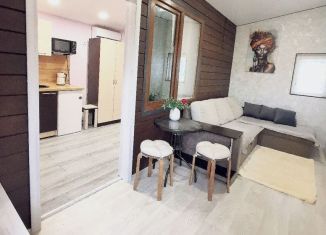 Сдается в аренду дом, 35 м2, Сириус, Урожайная улица, 107