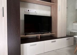Продажа квартиры студии, 26 м2, Сочи, Крымская улица, 67, микрорайон Мамайка