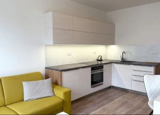 Продам квартиру студию, 21 м2, Санкт-Петербург, улица Радищева, 3, муниципальный округ Смольнинское