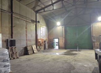 Сдаю производство, 450 м2, Новосибирская область, улица Строителей, 1/1