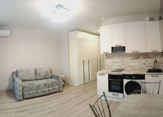 Сдача в аренду квартиры студии, 26.9 м2, Краснодар, микрорайон Достояние, улица Григория Булгакова, 16