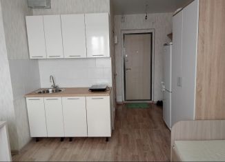 Квартира в аренду студия, 22 м2, Новосибирск, улица Титова, 257, Ленинский район