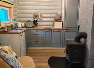 Сдается в аренду дом, 44 м2, деревня Устье Тулоксы, Речная улица, 12Г