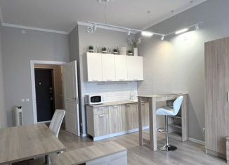 Продажа квартиры студии, 29 м2, посёлок Шушары, улица Нины Петровой, 6к1