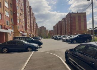 Сдается 1-ком. квартира, 42 м2, Йошкар-Ола, улица Эшкинина, 25, микрорайон Центральный