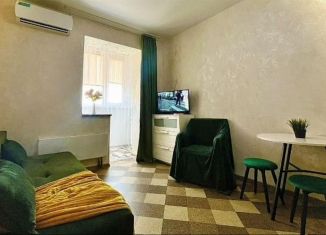 Продам квартиру студию, 17.6 м2, посёлок Российский, улица имени В.М. Комарова, 106Б
