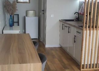 Квартира в аренду студия, 30 м2, Тюмень, улица Монтажников, 42А
