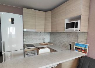 Квартира в аренду студия, 26.3 м2, городской посёлок Янино-1, Голландская улица