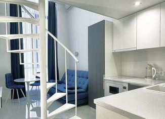 Сдача в аренду 1-комнатной квартиры, 42 м2, Сочи, улица Макаренко, 14, микрорайон Заречный