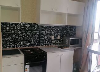Сдается квартира студия, 25 м2, посёлок Парголово, улица Николая Рубцова, 5