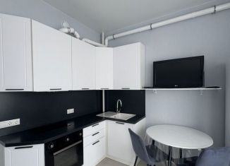 Продажа квартиры студии, 26 м2, Сочи, улица Калараша, 64/13