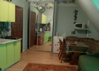 Сдается квартира студия, 34 м2, Зеленоград, улица Конструктора Гуськова, 1с1