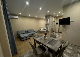 Сдаю в аренду 1-ком. квартиру, 42 м2, деревня Афонино, улица Красная Поляна, 2