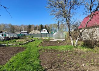 Продаю дачу, 20 м2, Кыштым, СНТ Дальняя Дача, 126