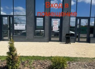 Продажа помещения свободного назначения, 75 м2, Ставрополь, улица Тухачевского, 33к2, микрорайон № 36