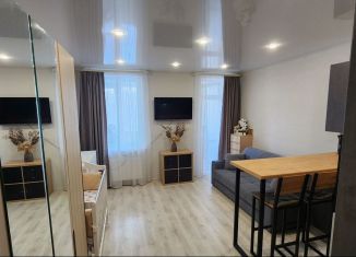 Продаю квартиру студию, 28.1 м2, посёлок Шушары, Вишерская улица, 2