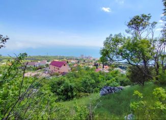 Продажа земельного участка, 6.2 сот., посёлок городского типа Никита, улица имени Героя Советского Союза Е.С. Птухина