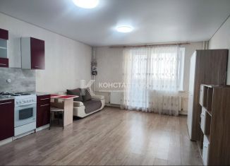 Сдаю в аренду квартиру студию, 33.1 м2, Челябинск, улица Университетская Набережная, 97А