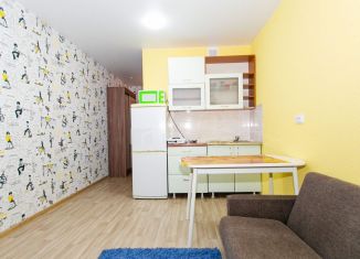 Сдается квартира студия, 20 м2, Новосибирск, улица Забалуева, 102/1, метро Площадь Маркса