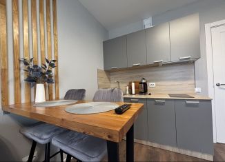 Сдаю квартиру студию, 20.8 м2, Санкт-Петербург, Муринская дорога, 31к2, метро Гражданский проспект