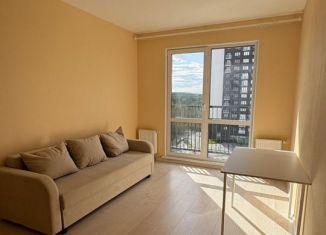 Аренда 1-комнатной квартиры, 35 м2, Екатеринбург, улица Зелёный Остров, 14, метро Площадь 1905 года