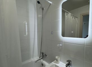 Сдаю 1-комнатную квартиру, 34 м2, деревня Новое Девяткино, Главная улица, 8