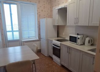 1-комнатная квартира в аренду, 36 м2, Санкт-Петербург, Хасанская улица, 10к2, Красногвардейский район