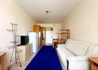 Комната в аренду, 19 м2, Санкт-Петербург, Железноводская улица, 26-28