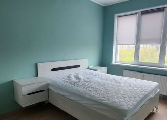Сдается в аренду 1-ком. квартира, 38 м2, Санкт-Петербург, Советский проспект, 34к2, Невский район