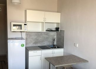 Сдам квартиру студию, 19.5 м2, посёлок Парголово, Толубеевский проезд, 8к2
