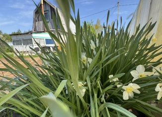 Продажа дачи, 36 м2, Татарстан, 19-я улица, 19