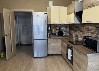 Сдаю 2-ком. квартиру, 59 м2, Екатеринбург, Хрустальногорская улица, 87, ЖК Нова парк