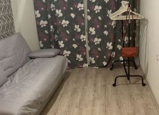 Сдам в аренду квартиру студию, 20 м2, Боровичи, улица Софьи Перовской, 88