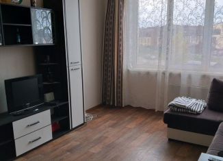 Сдаю в аренду 1-ком. квартиру, 40 м2, Нижний Новгород, Нижне-Печёрская улица, 10