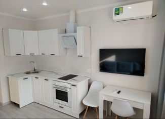 Квартира в аренду студия, 20 м2, Краснодар, улица Ветеранов, 85, микрорайон 2-я Площадка