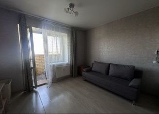 Квартира в аренду студия, 28 м2, Тюмень, Интернациональная улица, 199к1
