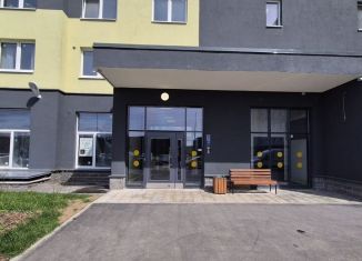 Сдаю квартиру студию, 23 м2, Санкт-Петербург, Пейзажная улица, 30, метро Гражданский проспект