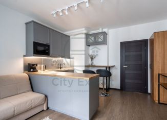 Квартира на продажу студия, 23 м2, Санкт-Петербург, 1-й Предпортовый проезд, 13, муниципальный округ Новоизмайловское