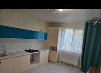 2-комнатная квартира в аренду, 50 м2, деревня Куюки, 13-й квартал, 1