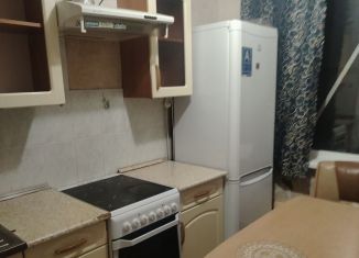 Двухкомнатная квартира в аренду, 50 м2, Екатеринбург, улица Владимира Высоцкого, 16, метро Площадь 1905 года