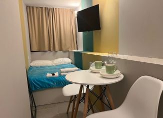 Продается квартира студия, 10 м2, Санкт-Петербург, улица Чехова, 3, Центральный район