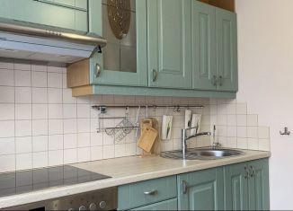 Сдаю в аренду 2-ком. квартиру, 53 м2, Санкт-Петербург, Среднеохтинский проспект, 57, Красногвардейский район