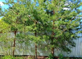 Дом на продажу, 77.8 м2, Пермь, микрорайон Ширяиха, 29