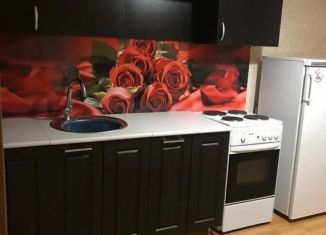 Сдача в аренду 2-комнатной квартиры, 52.7 м2, посёлок Шушары, Ростовская улица, 5к1