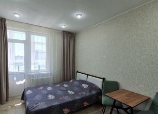 Продается квартира студия, 23.5 м2, Анапа, Владимирская улица, 142, ЖК Триумф