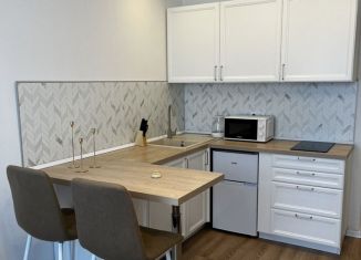 Сдача в аренду квартиры студии, 21 м2, Москва, Новохохловская улица, 15к3, ЮВАО
