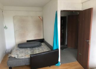 Сдается 1-комнатная квартира, 31 м2, Санкт-Петербург, улица Руднева, 19к1, метро Проспект Просвещения