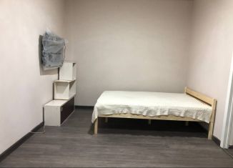 Сдаю квартиру студию, 27.3 м2, Краснодар, улица Володарского, 91, микрорайон Центральный