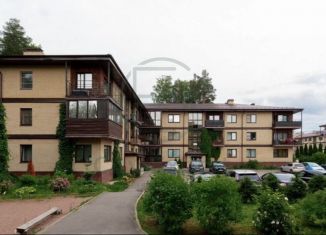 Продам 1-комнатную квартиру, 45 м2, деревня Юкки, Тенистая улица, 11к4